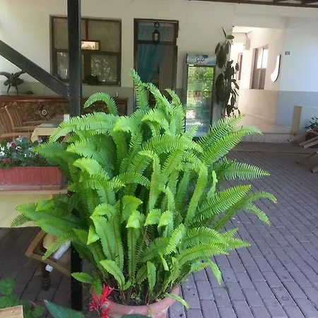Guest house Anabella 5*