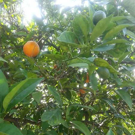 Affittacamere Anabella Çıralı